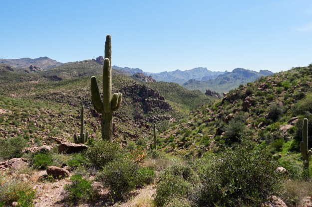 Superstition Mountains 04